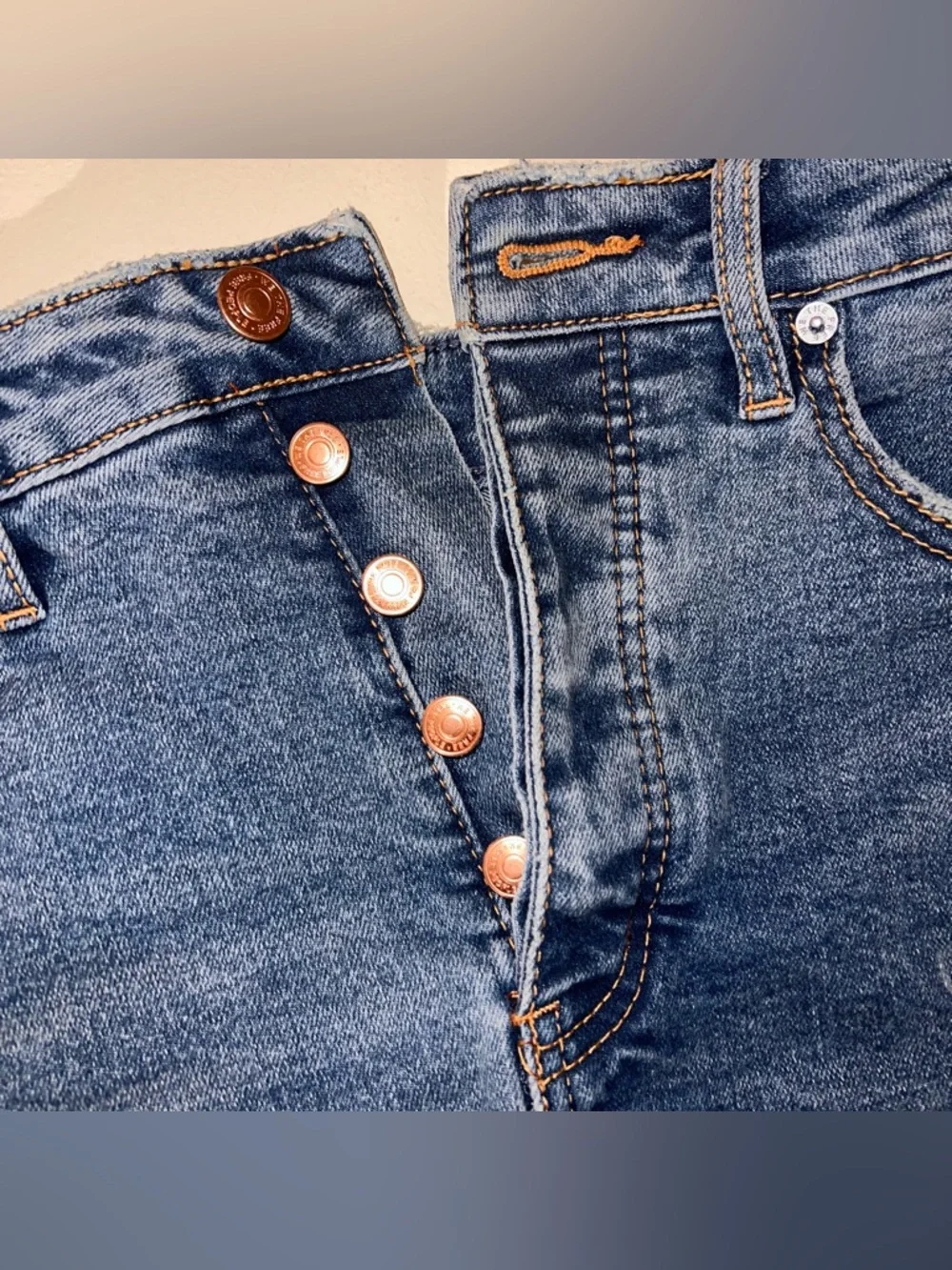 We The Free denim shorts